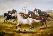 unknow artist Horses 04 oil painting reproduction
